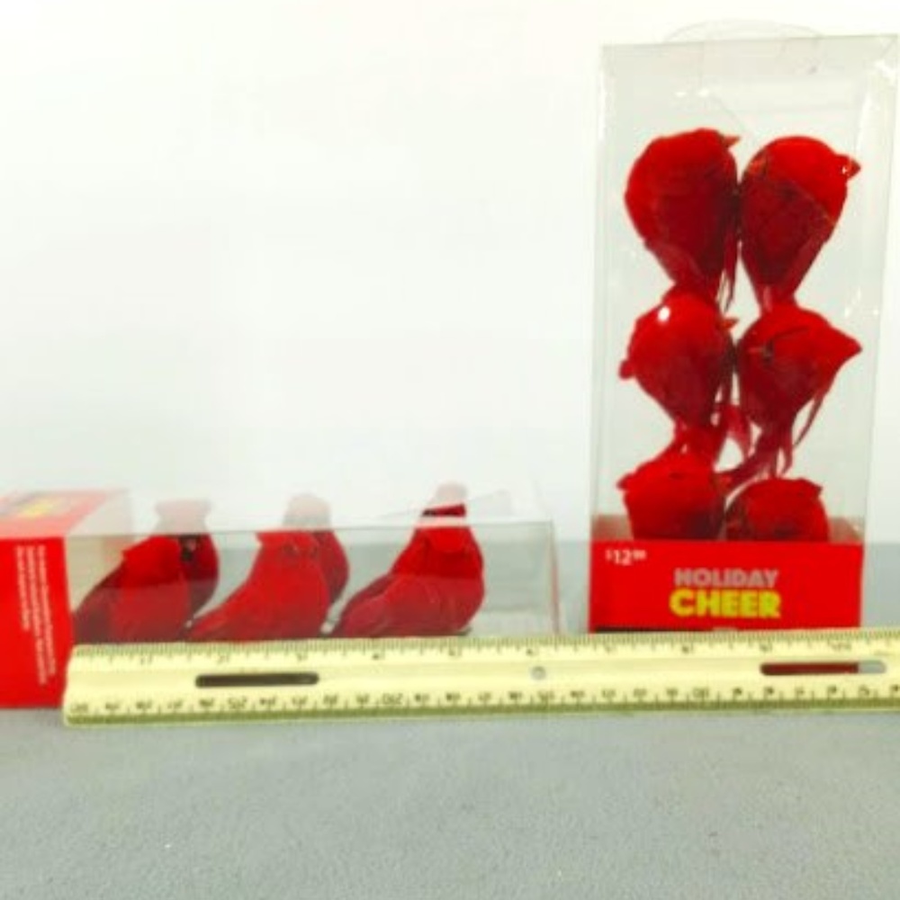 12 Cardinals Singing
